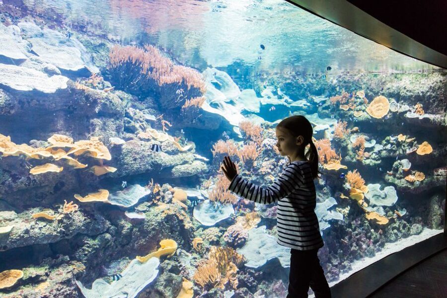 Paris: Aquarium de Paris Entrance Ticket - There is no regular personal guide