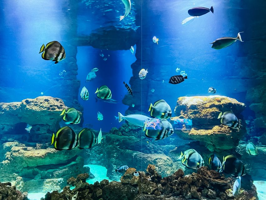 Paris: Aquarium de Paris Entrance Ticket - Is $25 good value?