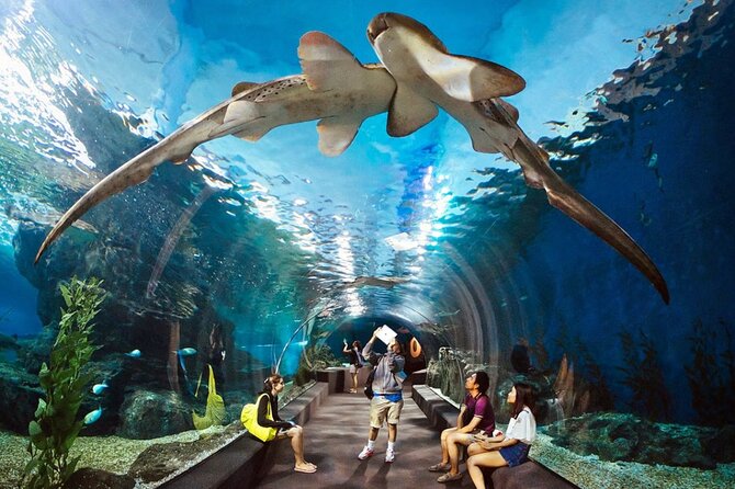 Pattaya Underwater World Admission Ticket - Key points to know before you go