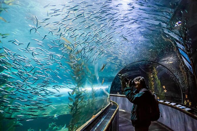 Pattaya Underwater World Admission Ticket - The touch pool makes this more than a walk past tanks