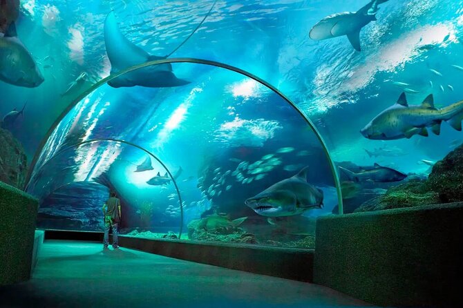 Pattaya Underwater World Admission Ticket - Is the $10.44 ticket good value?