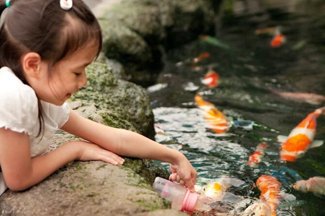 Pattaya Underwater World Admission Ticket - What families, photographers, and marine fans will get from it