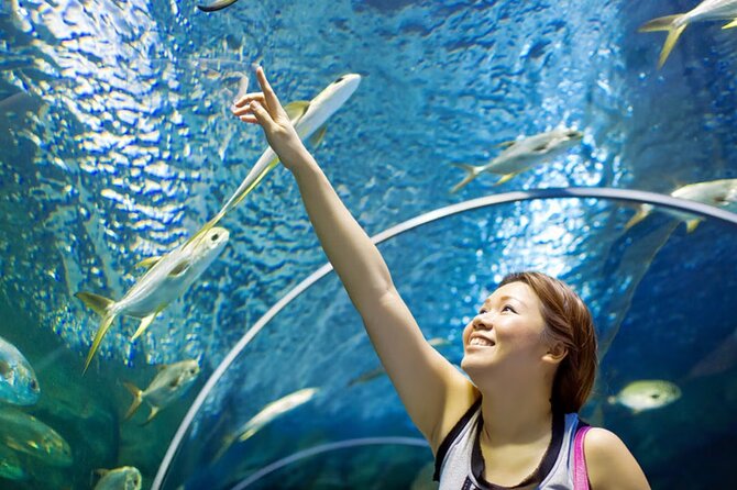 Pattaya Underwater World Admission Ticket - What to know about booking and cancellation