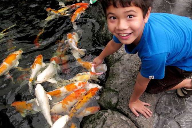 Pattaya Underwater World Admission Ticket - Five zones, five different moods