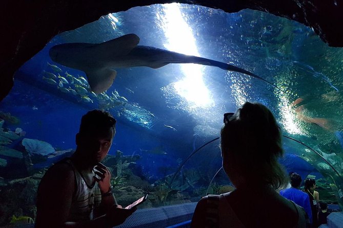 Pattaya Underwater World - Discover Ocean Treasures - What you see inside Pattaya Underwater World