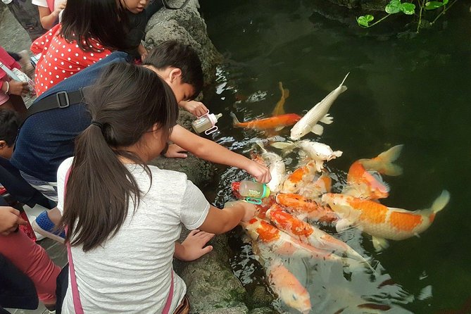Pattaya Underwater World - Discover Ocean Treasures - Marine life for children and curious adults