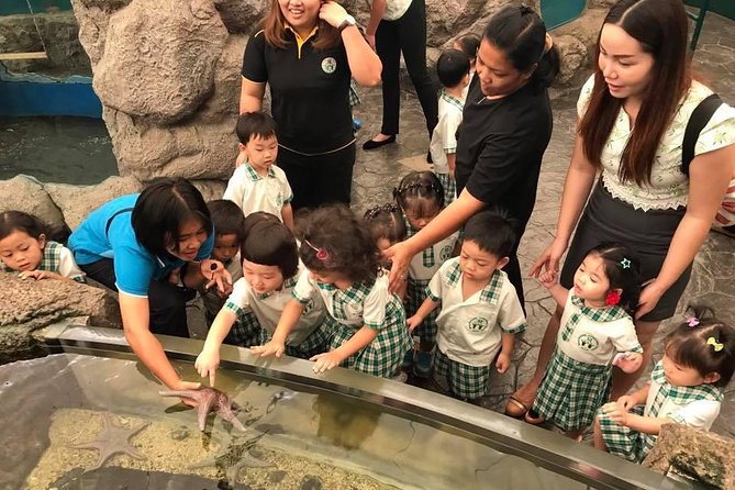 Pattaya Underwater World - Discover Ocean Treasures - Is $15.82 a fair price?