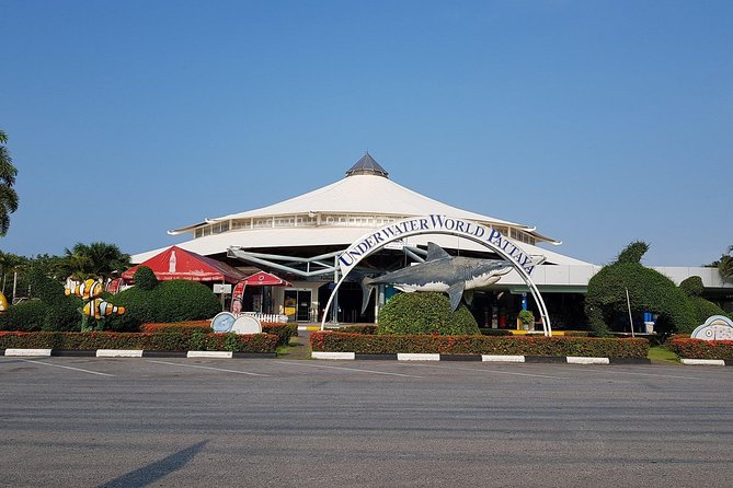 Pattaya Underwater World - Discover Ocean Treasures - Who will enjoy it most