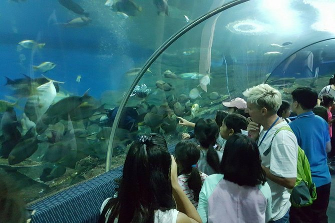 Pattaya Underwater World - Discover Ocean Treasures - Practical details that matter