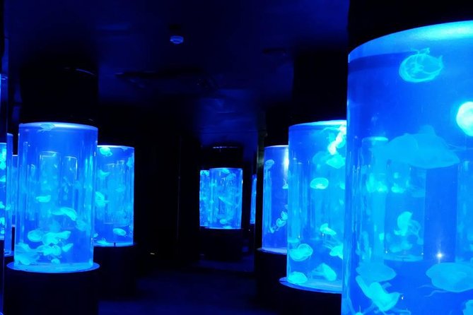 Pattaya Underwater World - Discover Ocean Treasures - The glass-domed tunnel is the main event