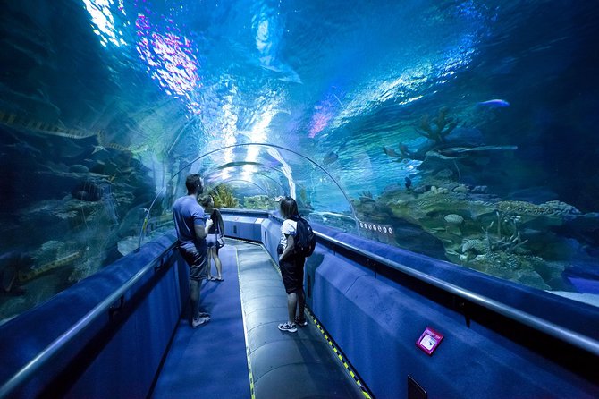 Pattaya Underwater World Entrance Ticket - Key points to know before you go