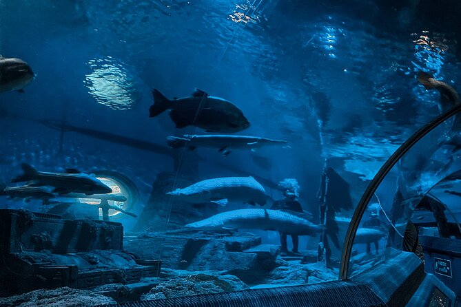 Pattaya Underwater World Entrance Ticket - The koi pond and cylinder tank