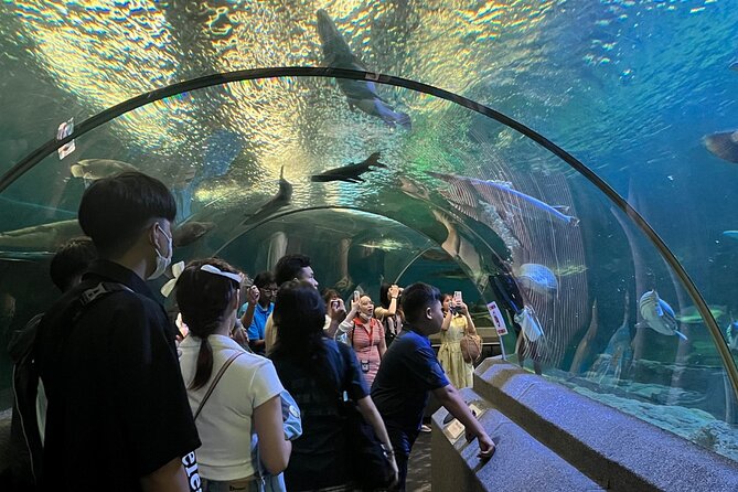 Pattaya Underwater World Entrance Ticket - How long to stay and how to plan your visit