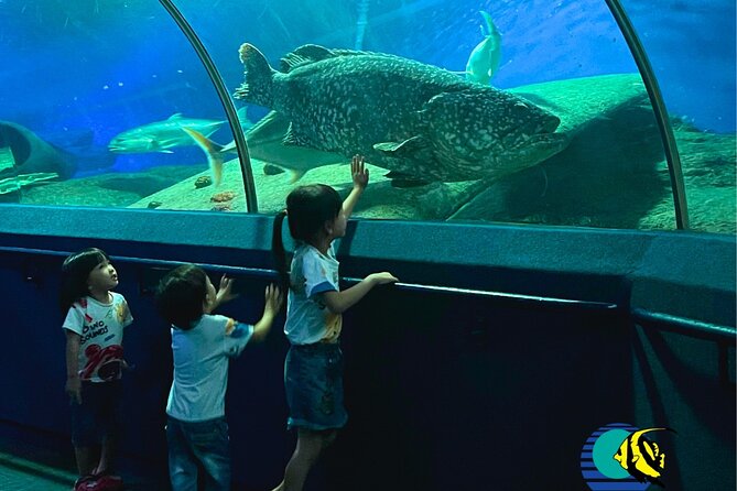 Pattaya Underwater World Entrance Ticket - Coral reefs, shipwreck scenery, and tropical fish