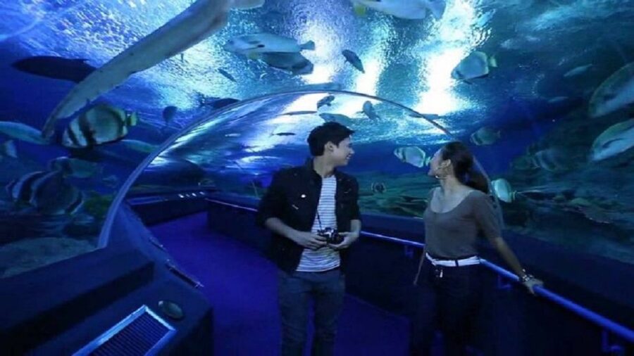 Pattaya: Underwater World Pattaya Aquarium Admission Ticket - Jellyfish Zone: a slower and quieter stop