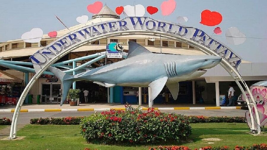 Pattaya: Underwater World Pattaya Aquarium Admission Ticket - Touch Pool Zone: the hands-on part of the visit