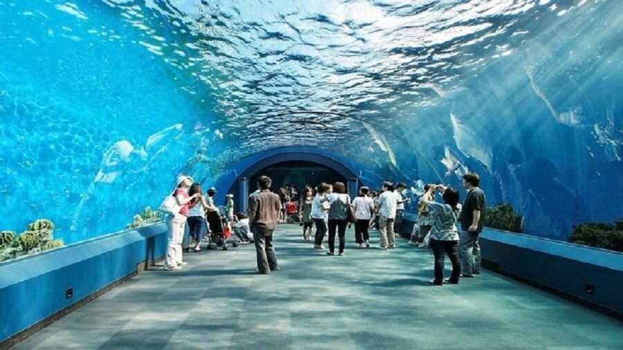 Pattaya: Underwater World Pattaya Aquarium Admission Ticket - How the ticket works at the entrance