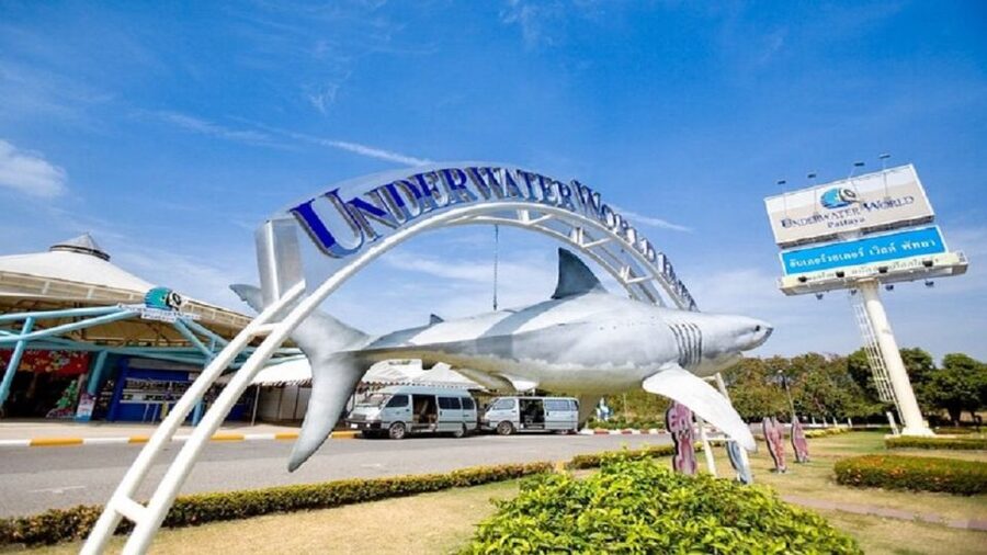 Pattaya: Underwater World Pattaya Aquarium Admission Ticket - Child prices and planning a family visit