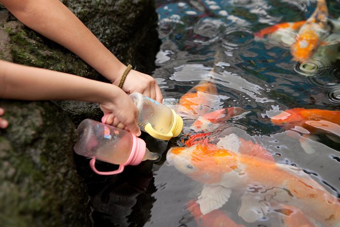 Pattaya Underwater World Tickets - Is $13 good value?