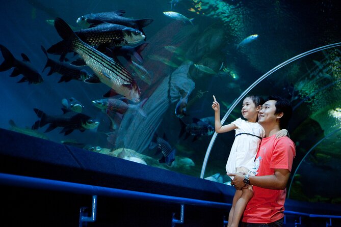 Pattaya Underwater World Tickets with Optional Hotel Pickup - Optional hotel pickup can make the visit easier