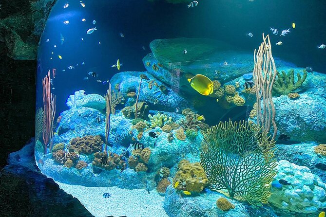 Pattaya Underwater World Tickets with Optional Hotel Pickup - What you will pay for, and what you will not