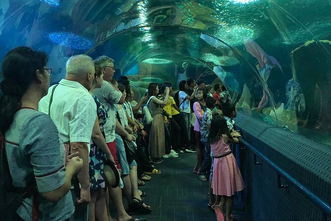 Pattaya Underwater World Tickets with Optional Hotel Pickup - Practical advice for a smoother visit