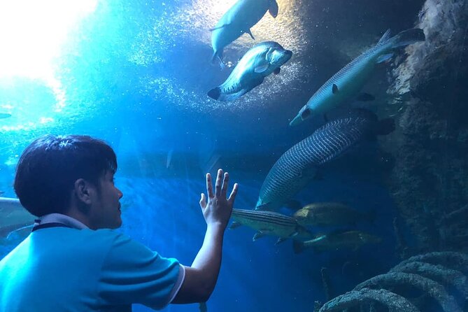 Pattaya Underwater World Tickets with Optional Hotel Pickup - Should you book Pattaya Underwater World?