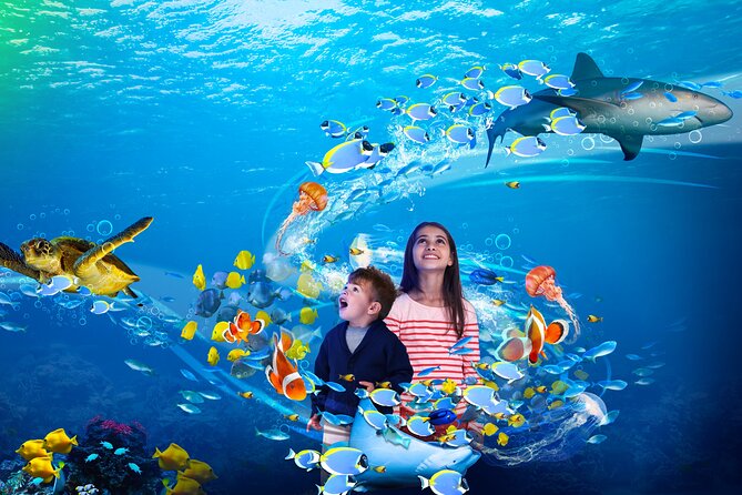 Premium Ticket Sea Life Benalmádena - A compact route with family-friendly touches