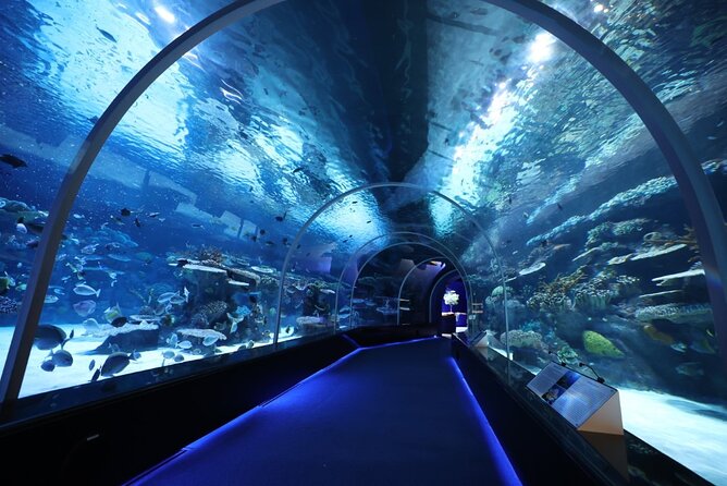 Private Hamad Port Tour in Mesaieed |Aquarium |Maritime Museum - A Port Visit With More Than Fish