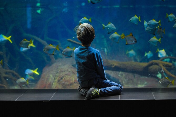 Private Hamad Port Tour in Mesaieed |Aquarium |Maritime Museum - The Maritime Museum Tells Qatar’s Sea Story