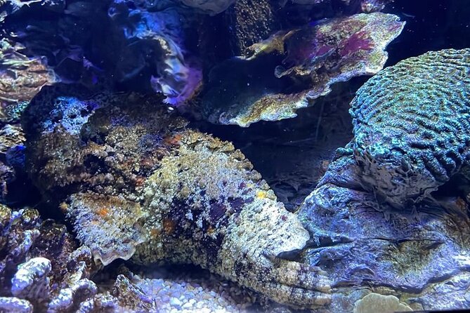 Private Hamad Port Tour in Mesaieed |Aquarium |Maritime Museum - The Touch Tank Makes the Visit Hands-On