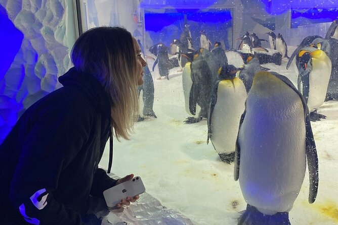 Private Tour: Auckland City, Aquarium, Sky Tower, Mt Eden & Wētā - The Auckland highlights that matter most