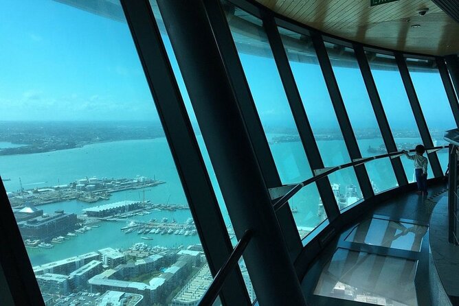 Private Tour: Auckland City, Aquarium, Sky Tower, Mt Eden & Wētā - Who should book this private day