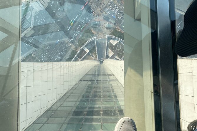 Private tour Lotte World,Tower,Aquarium(All Tickets are included) - What the private minivan changes