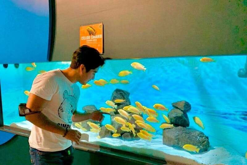Puebla: Ticket to Aquarium Michin - Key points to know before you go