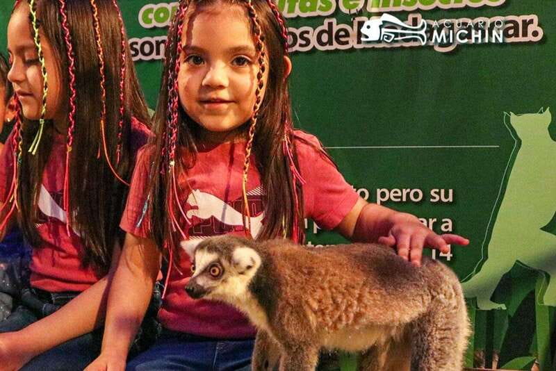 Puebla: Ticket to Aquarium Michin - See reef colors and the fresh-saltwater meeting point