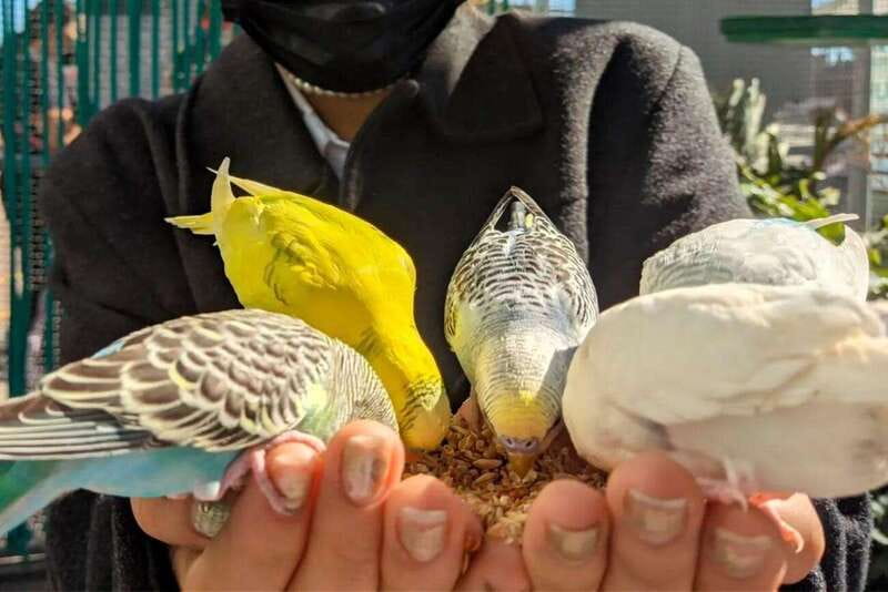 Puebla: Ticket to Aquarium Michin - Use the unlimited Michin Extreme activities