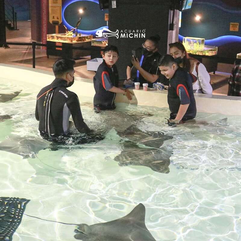 Puebla: Ticket to Aquarium Michin - Begin with the Open Sea Pavilion