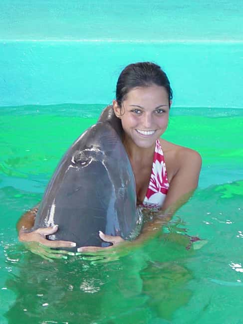 Puerto Plata: Dolphin Encounter at Ocean World - Key points to know before you book