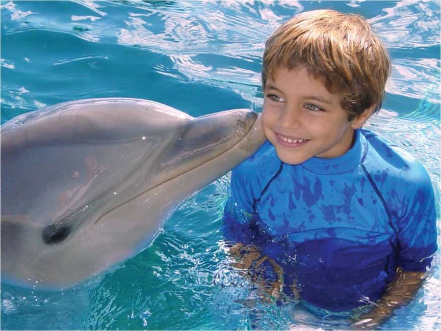 Puerto Plata: Dolphin Encounter at Ocean World - Meeting the dolphin in waist-deep water