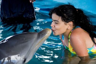 Puerto Plata: Dolphin Encounter at Ocean World