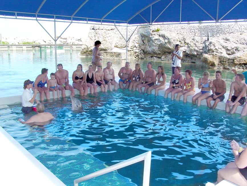 Puerto Plata: Dolphin Encounter at Ocean World - Lunch, beach time, and the family rhythm