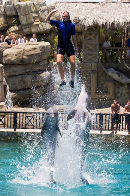 Puerto Plata: Ocean World Adventure Park Day Pass - Key points to know before booking