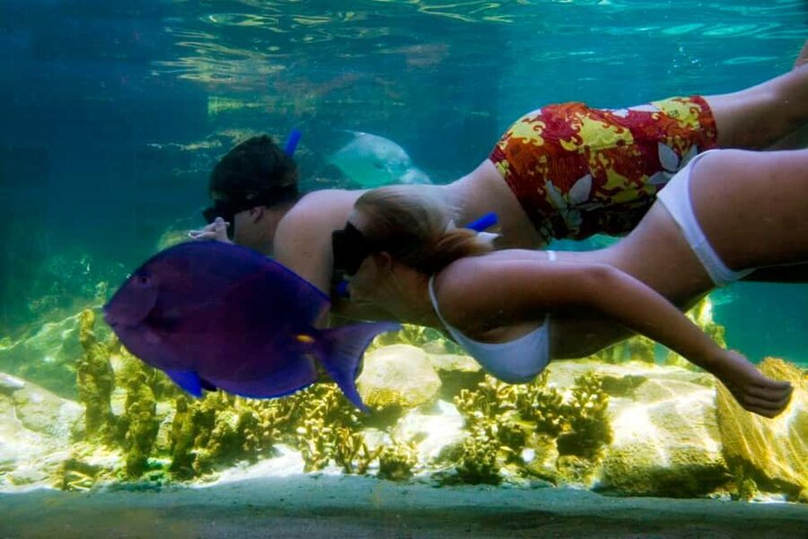 Puerto Plata: Ocean World Adventure Park Day Pass - What your $79 Ocean World ticket actually gives you