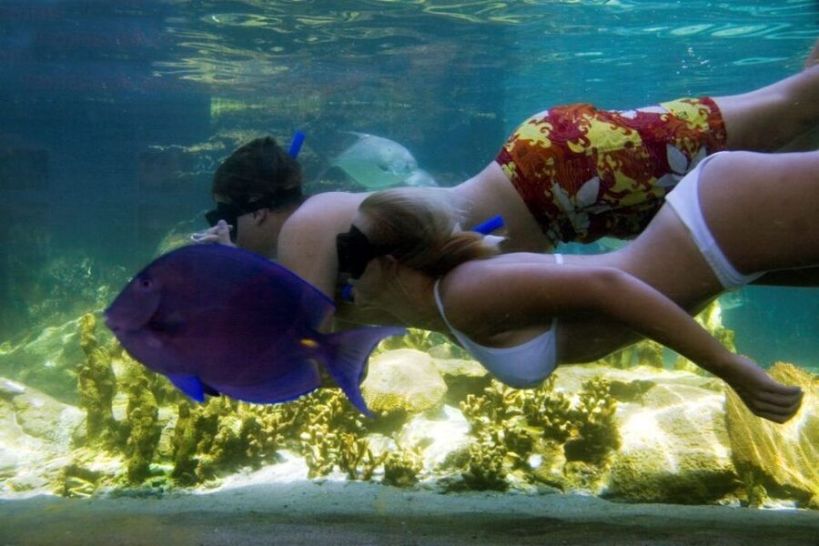 Puerto Plata: Ocean World Adventure Park Day Pass - Rainforest paths, birds, and iguanas