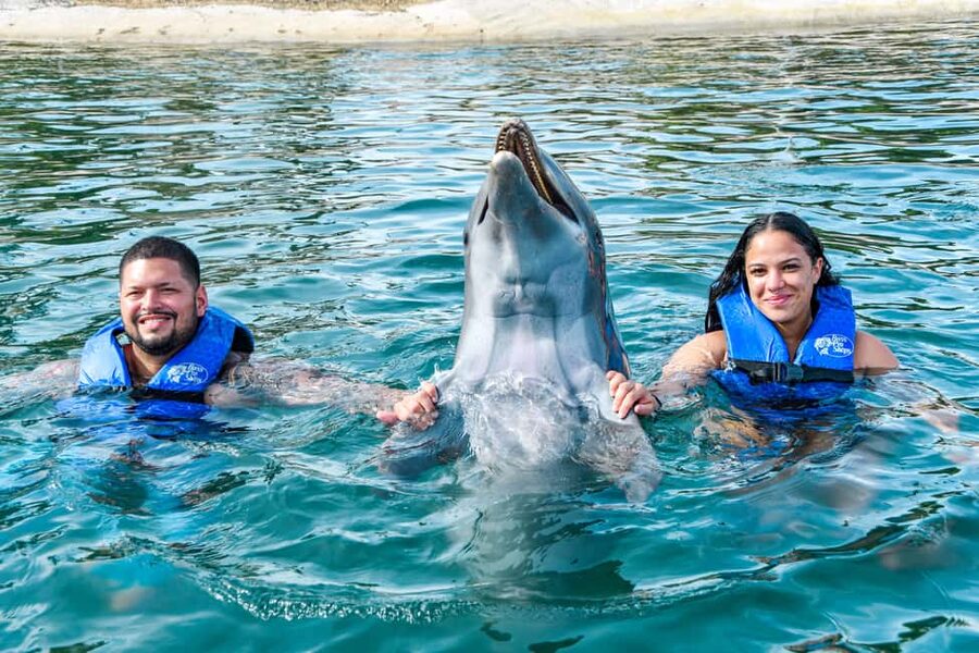 Puerto Plata: Ocean World Adventure Park Swim with Dolphins - The dolphin encounter at Ocean World