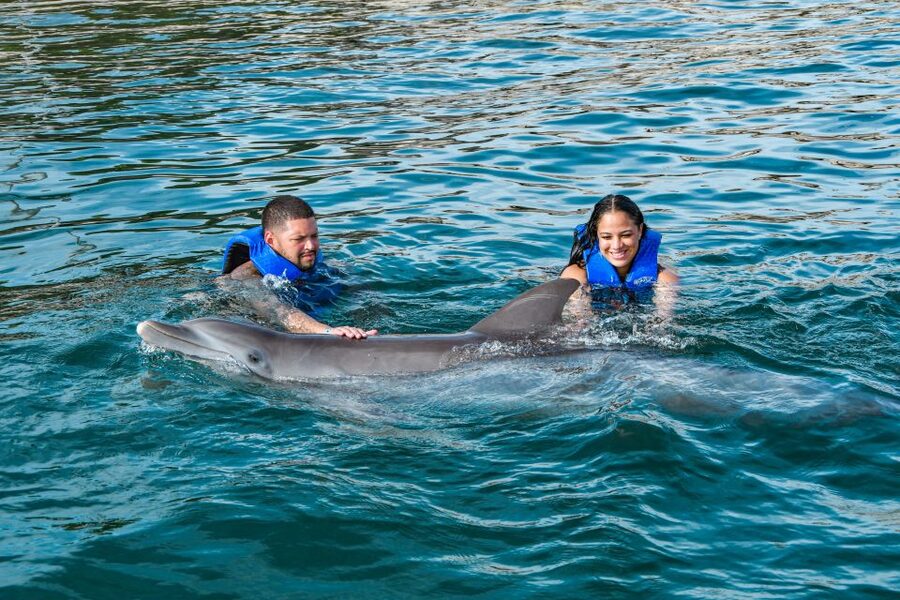 Puerto Plata: Ocean World Adventure Park Swim with Dolphins - FAQ