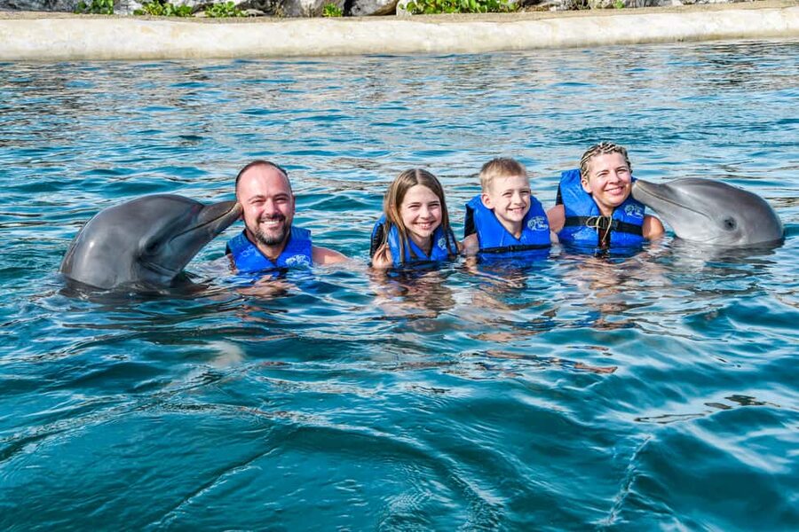 Puerto Plata: Ocean World Adventure Park Swim with Dolphins - Sea lions, birds, and the park’s other animals
