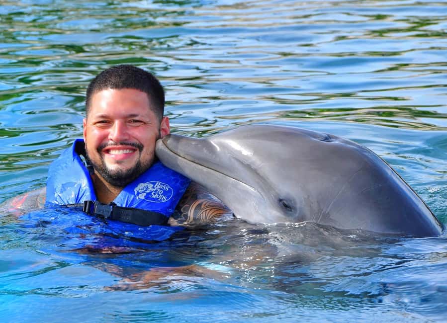 Puerto Plata Ocean World Dolphin Swim - Key points to know
