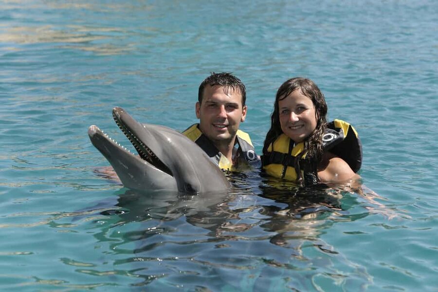 Puerto Plata Ocean World Dolphin Swim - Tropical Reef snorkeling and water activities